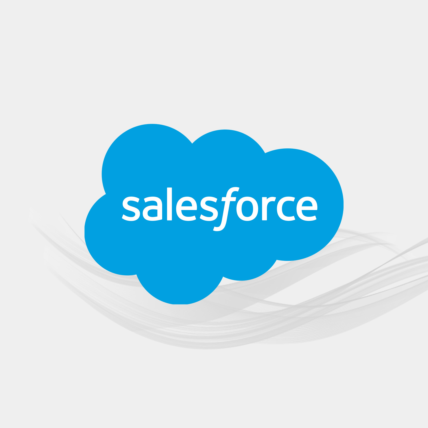 [希少&洋書]Salesforce Salesforce | Lauren Bousfield | Orange Milk Records